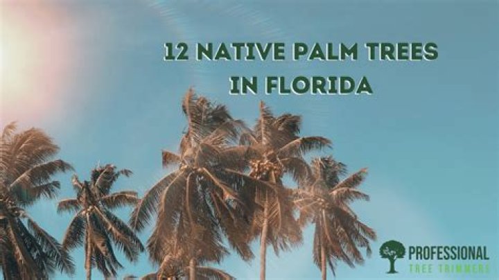 Where are palm trees native too