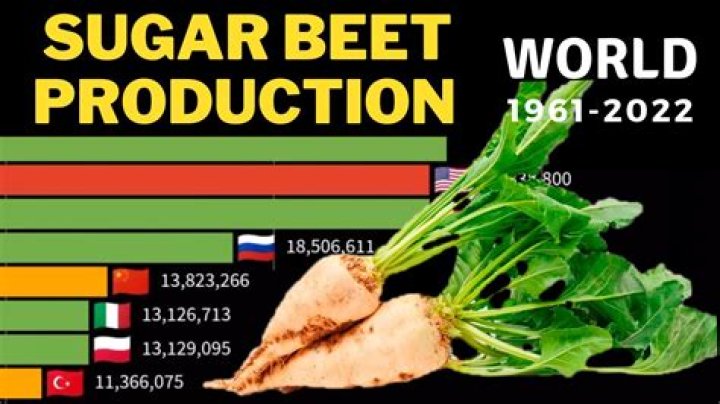 Where are sugar beets grown in the world