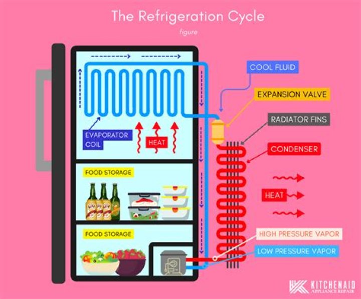 Where are the freon lines in a refrigerator