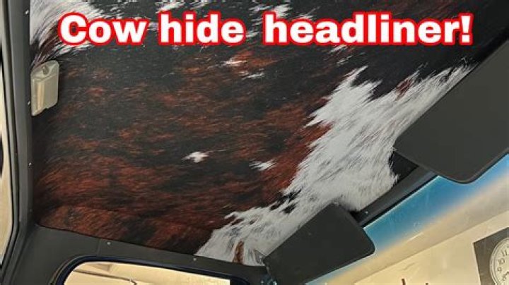 Where can I tan cowhide