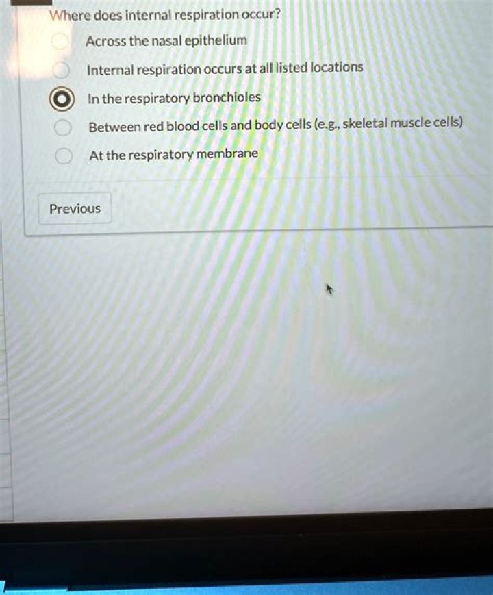 Where does internal respiration occur