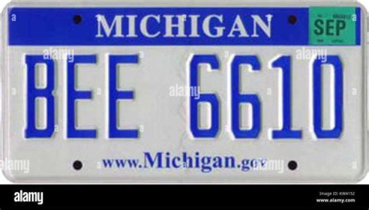 Where does the tab go on a Michigan license plate?