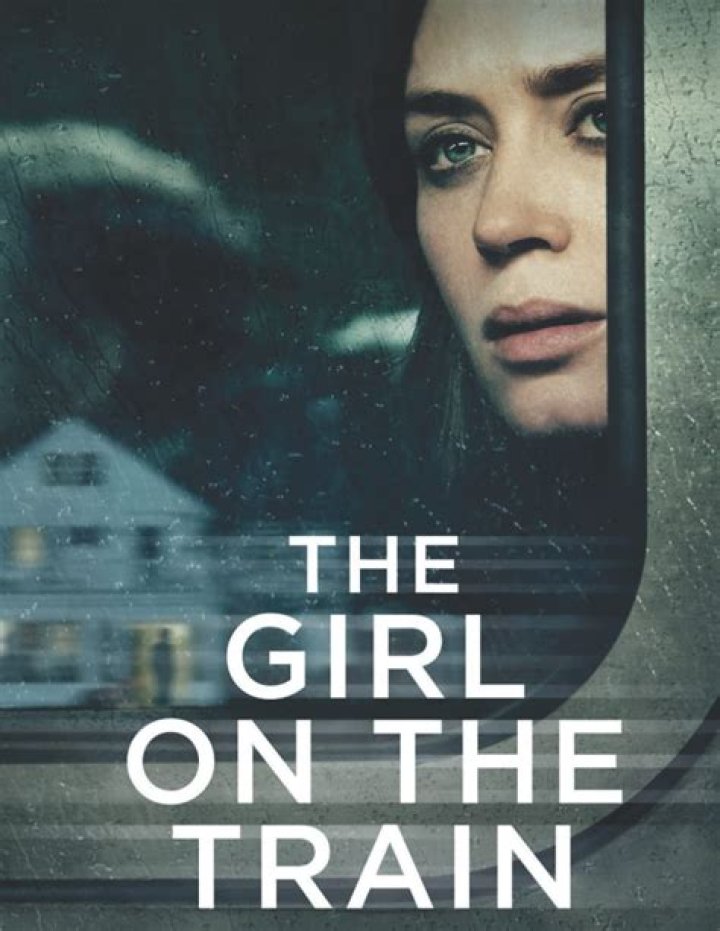 Where is the book the girl on the train set