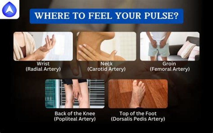 Where is your pulse behind your knee