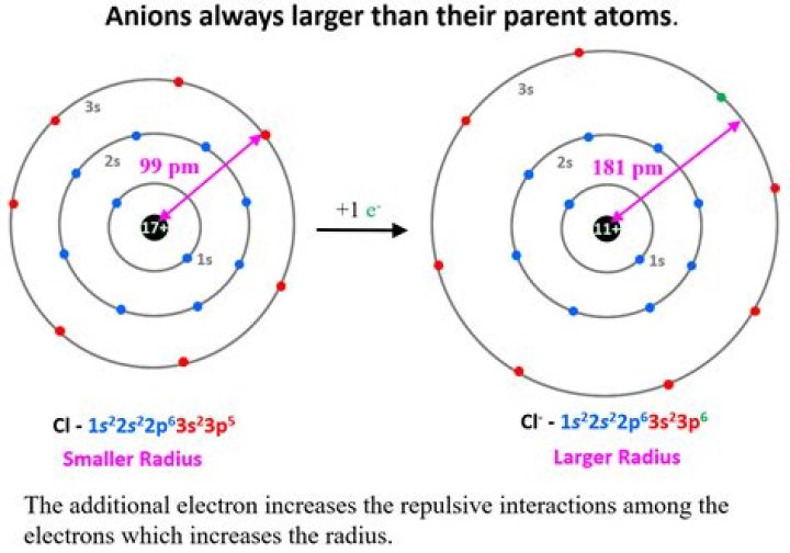 Which has the larger ionic radius cations or anions