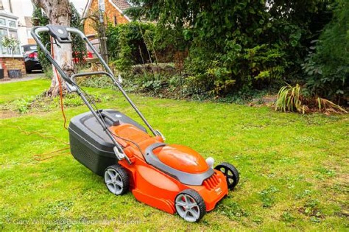 Which is the best Flymo lawnmower