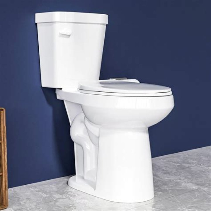 Which is the best toilet to buy for an RV?