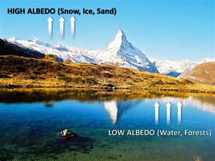Which land cover has highest albedo