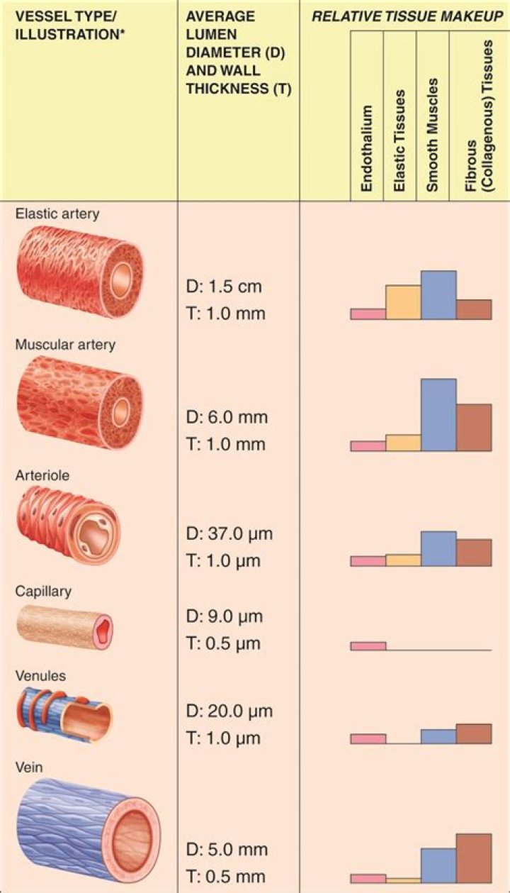 Which procedure detects blood flow the condition of vessel walls and blockages without using a contrast medium
