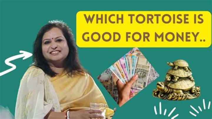 Which tortoise is good for money