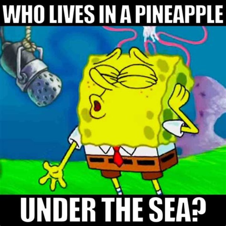 Who lives under a pineapple vine