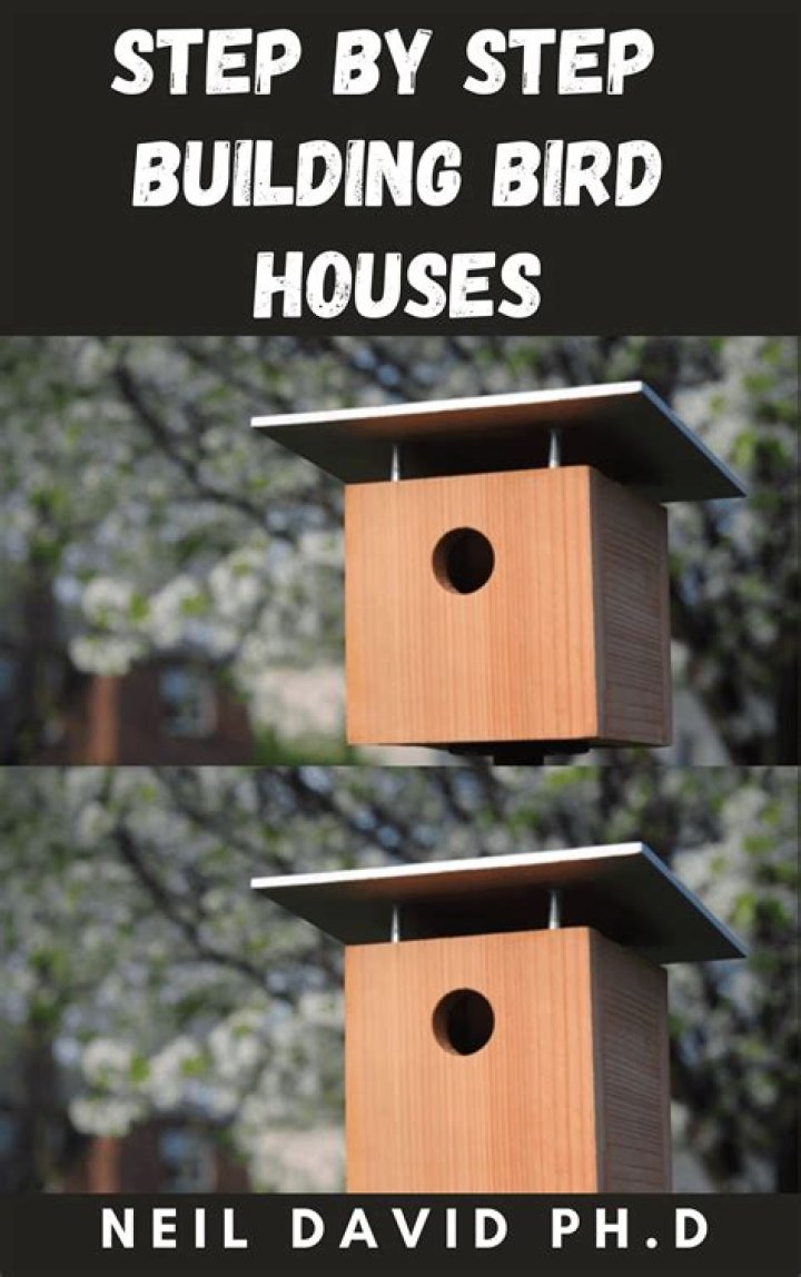 Why are bird houses important
