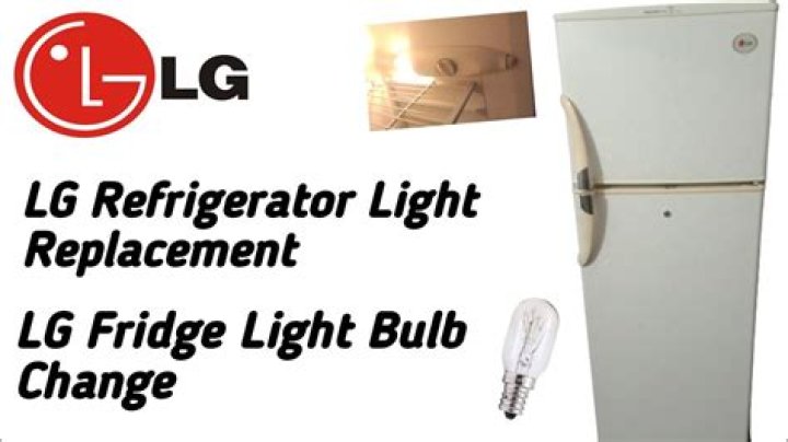 Why does my refrigerator light not stay lit?