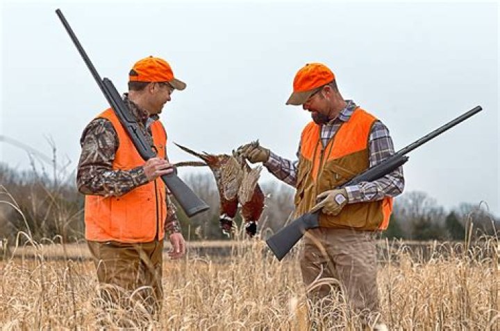 Why Hunting Should Be Banned