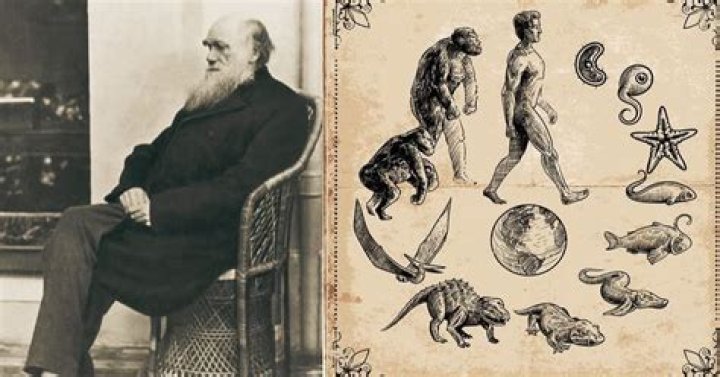 Why is Charles X Important