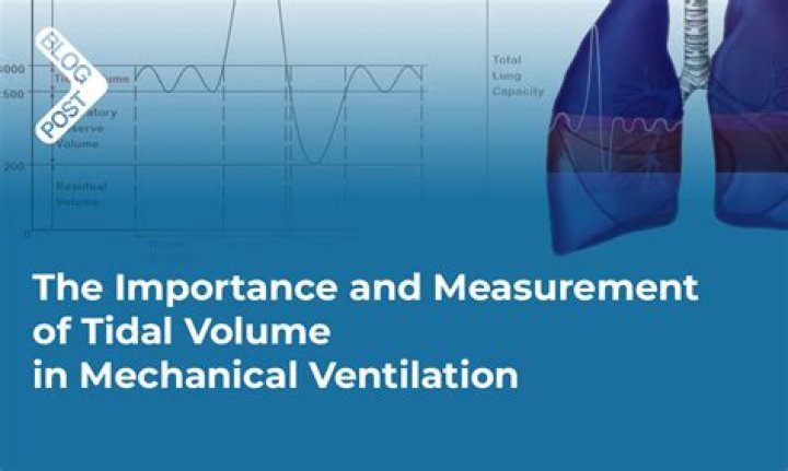 Why is it important to measure tidal volume and vital capacity