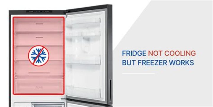 Why is my freezer very cold?