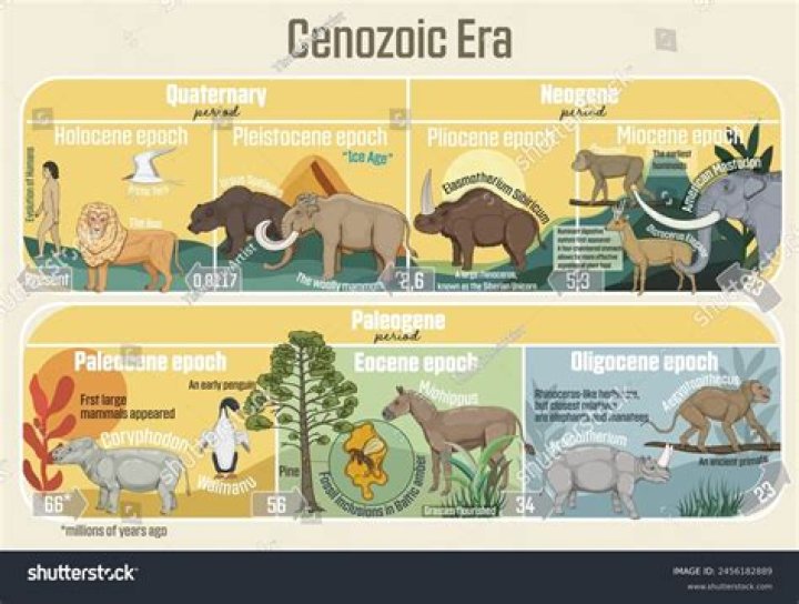Why is the Cenozoic Era divided into epochs