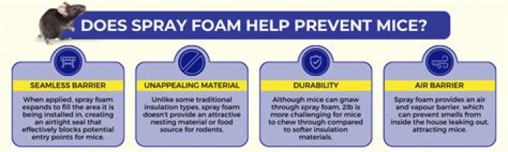 Will expanding foam stop mice